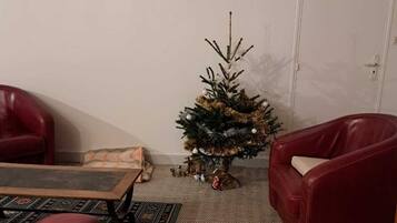 Olohuoneessa on pieni joulukuusi, punainen nahkasohva, puinen sohvapöytä ja kuviollinen matto.