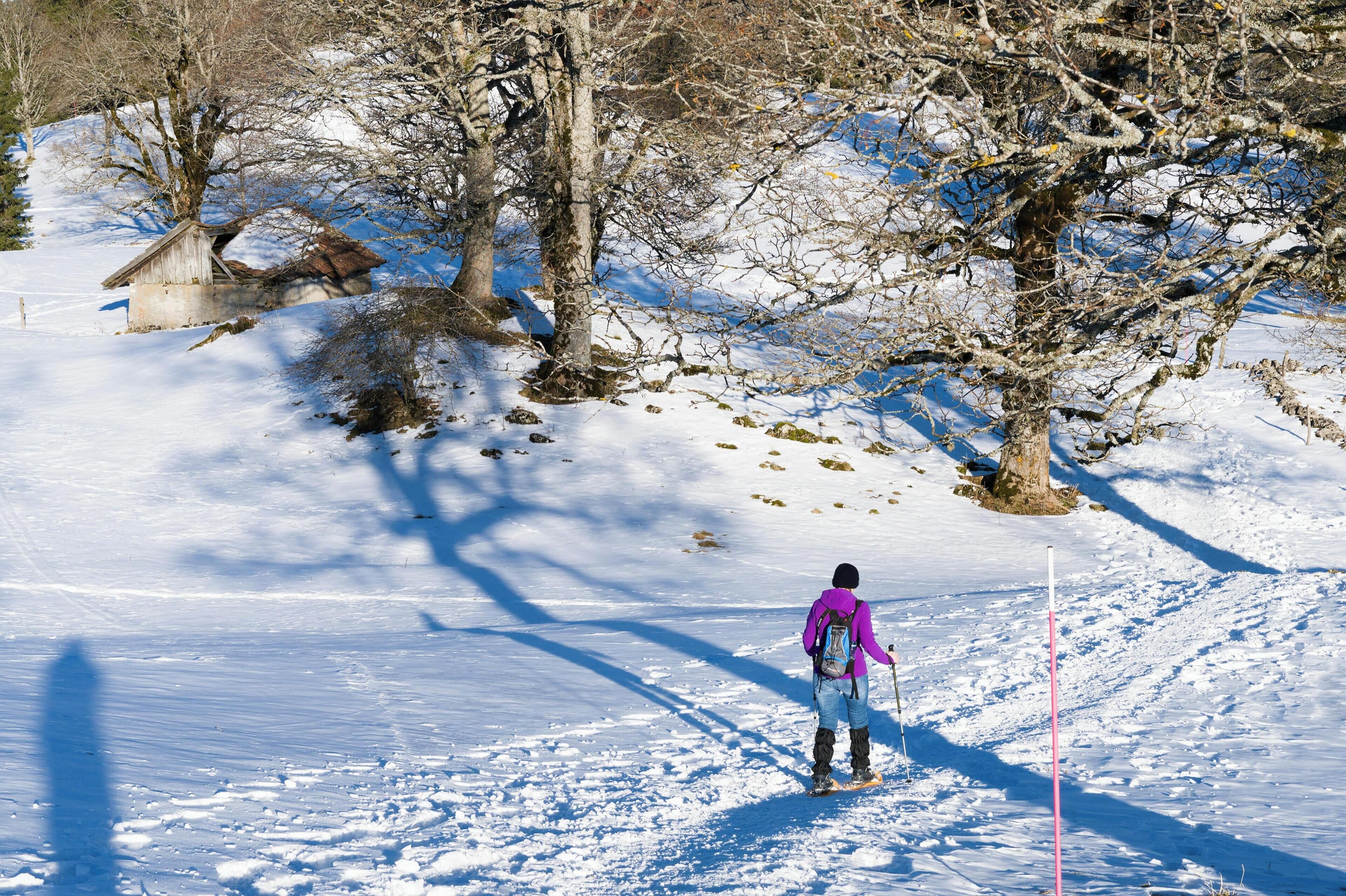 A person cross-country skiing on a snowy slope with trees and a small building in the background.