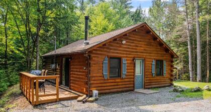 Secluded Cozy Cabin in Mountain Lake Community!
