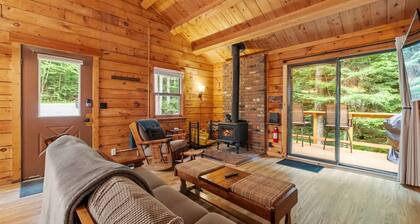 Secluded Cozy Cabin in Mountain Lake Community!