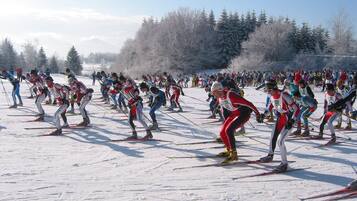 Sneeuw- en skisporten