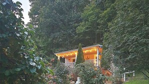A wooden staircase leading to a house with a porch, surrounded by lush greenery. - Gorgeous, cozy, private retreat - Hot tub, views, CLOSE TO EVERYTHING. 43 acres! (Banner Elk)