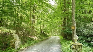 A forested path with stone markers and a sign indicating a nature reserve. - Gorgeous, cozy, private retreat - Hot tub, views, CLOSE TO EVERYTHING. 43 acres! (Banner Elk)