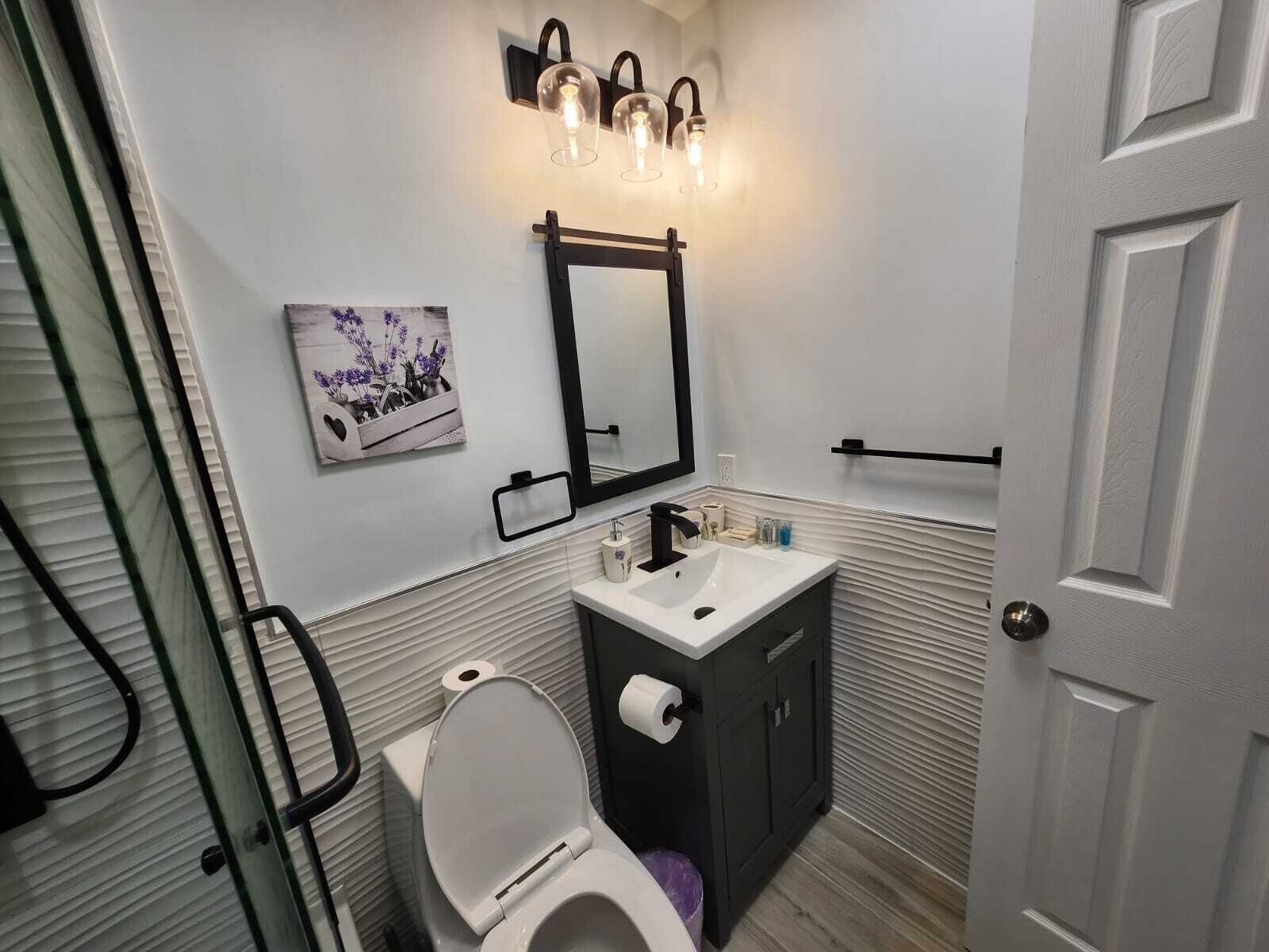 Une salle de bain avec des toilettes blanches, un lavabo noir, un miroir et un luminaire placé au-dessus du miroir.