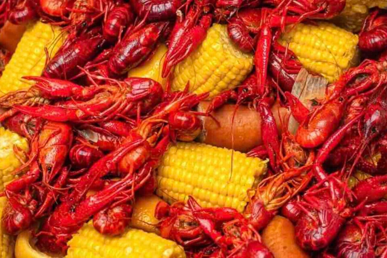 Primer plano de langostinos cocidos y mazorcas de maíz.