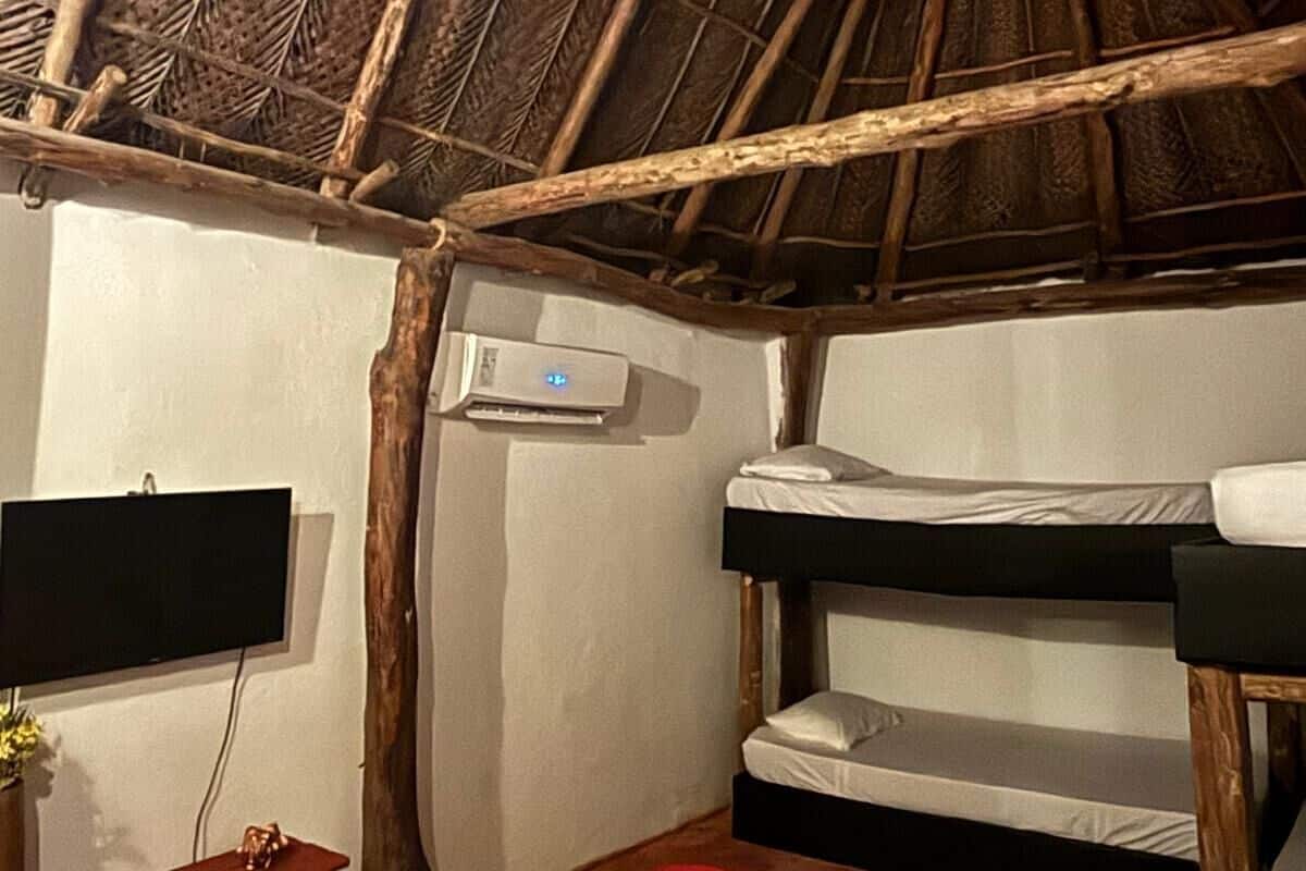 A room with a thatched roof, bunk beds, a flat-screen TV, and a small wooden table with a plant.
