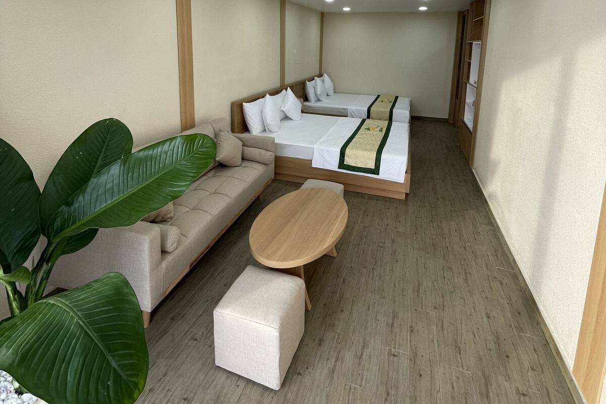 A hotel room with a sofa, a bed with a green bedspread, a wooden coffee table, and a large potted plant.