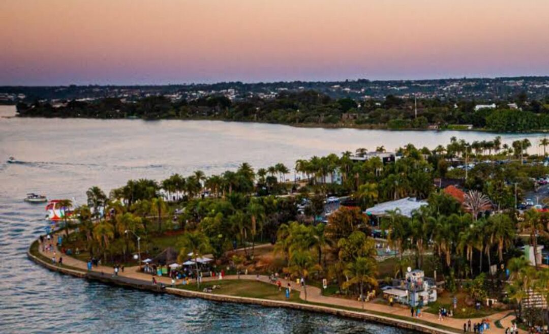 A waterfront park with palm trees, a walking path, and a view of the water.