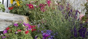 Delightful home away from home...comfortable, warm and beautiful gardens.