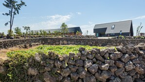 Een modern gebouw met een stenen muur en groen voor.