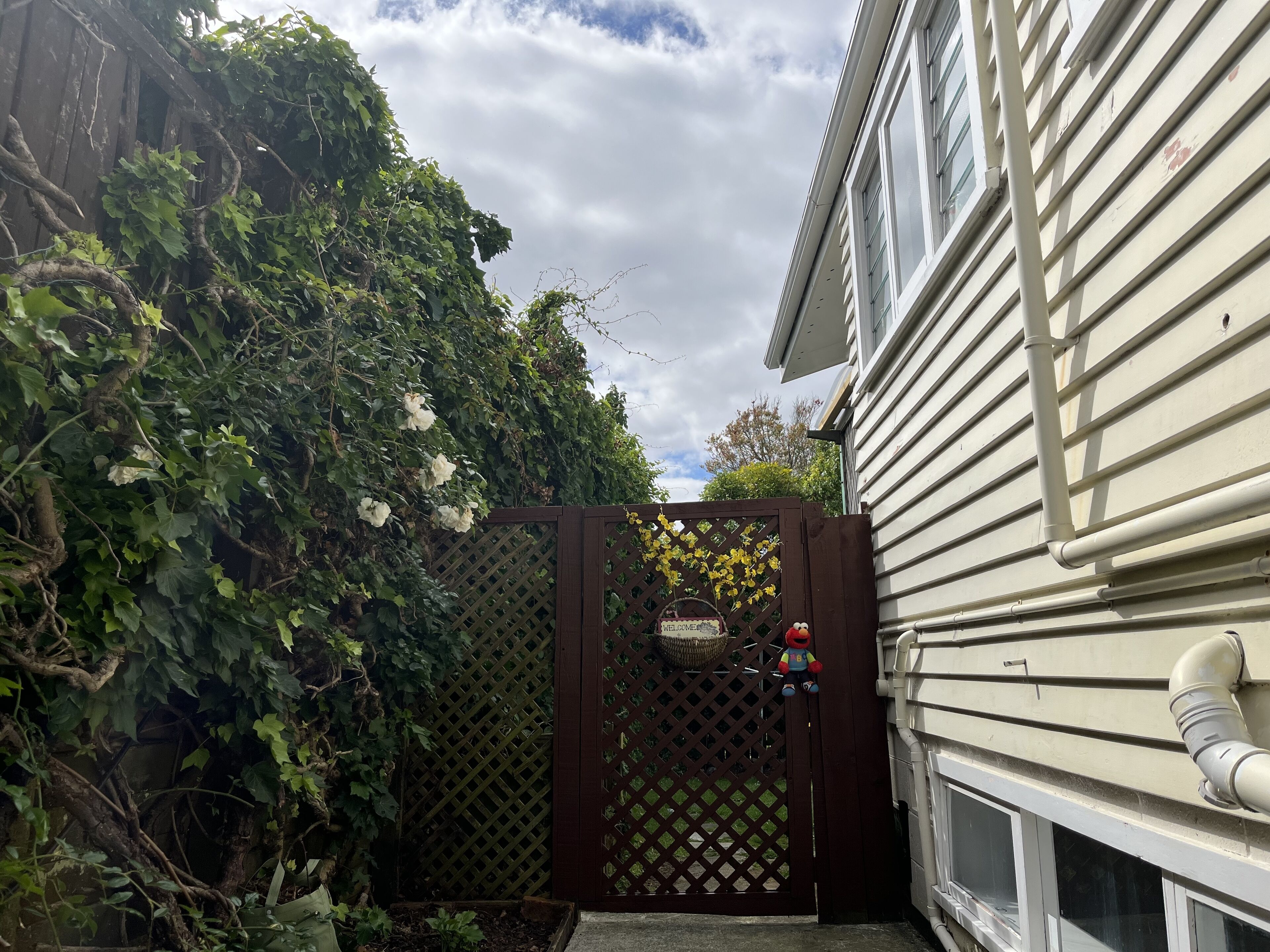 Parco della struttura