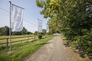 A rural road flanked by trees and flags, leading to a building. - Ruhig und Idyllische Lage, Ahoi Erlebnisbad Gratis - Gutshaus Silvitz Fewo 02 - Gutshaus Silvitz (Bergen auf Rügen)