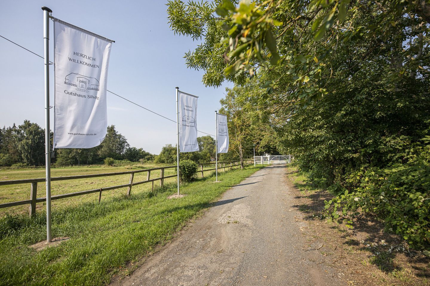 Une route de campagne bordée d’arbres et de drapeaux, menant à un bâtiment.
