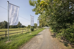 A rural road flanked by trees and flags, leading to a building. - Ruhig und Idyllische Lage, Ahoi Erlebnisbad Gratis - Gutshaus Silvitz Fewo 04 - Gutshaus Silvitz (Bergen auf Rügen)