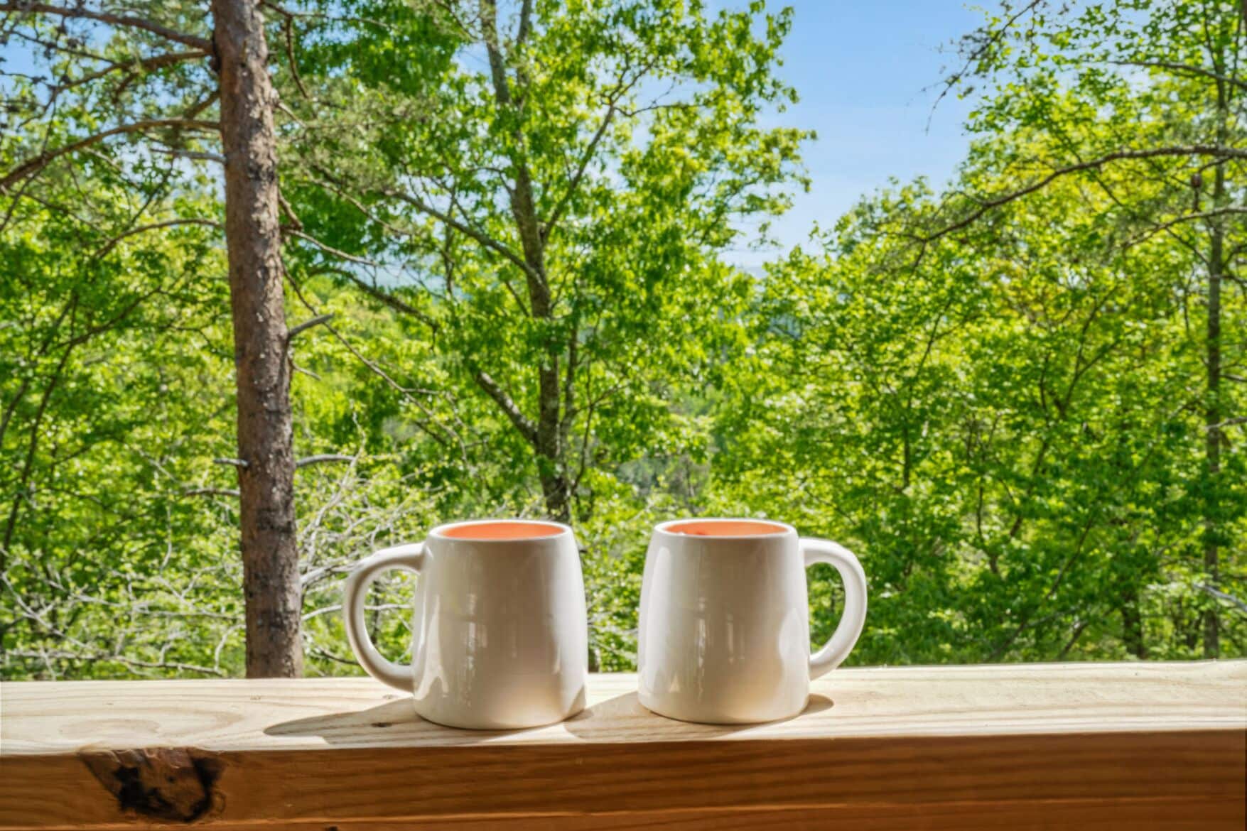 Two white ceramic mugs on a wooden ledge with a forest backdrop.