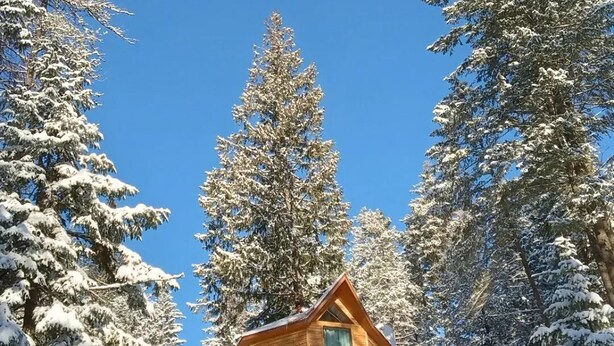 Une cabane en bois dotée d’un balcon, entourée d’arbres couverts de neige.