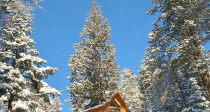 Romantic Treehouse Getaway with Peaceful Mountain Views!