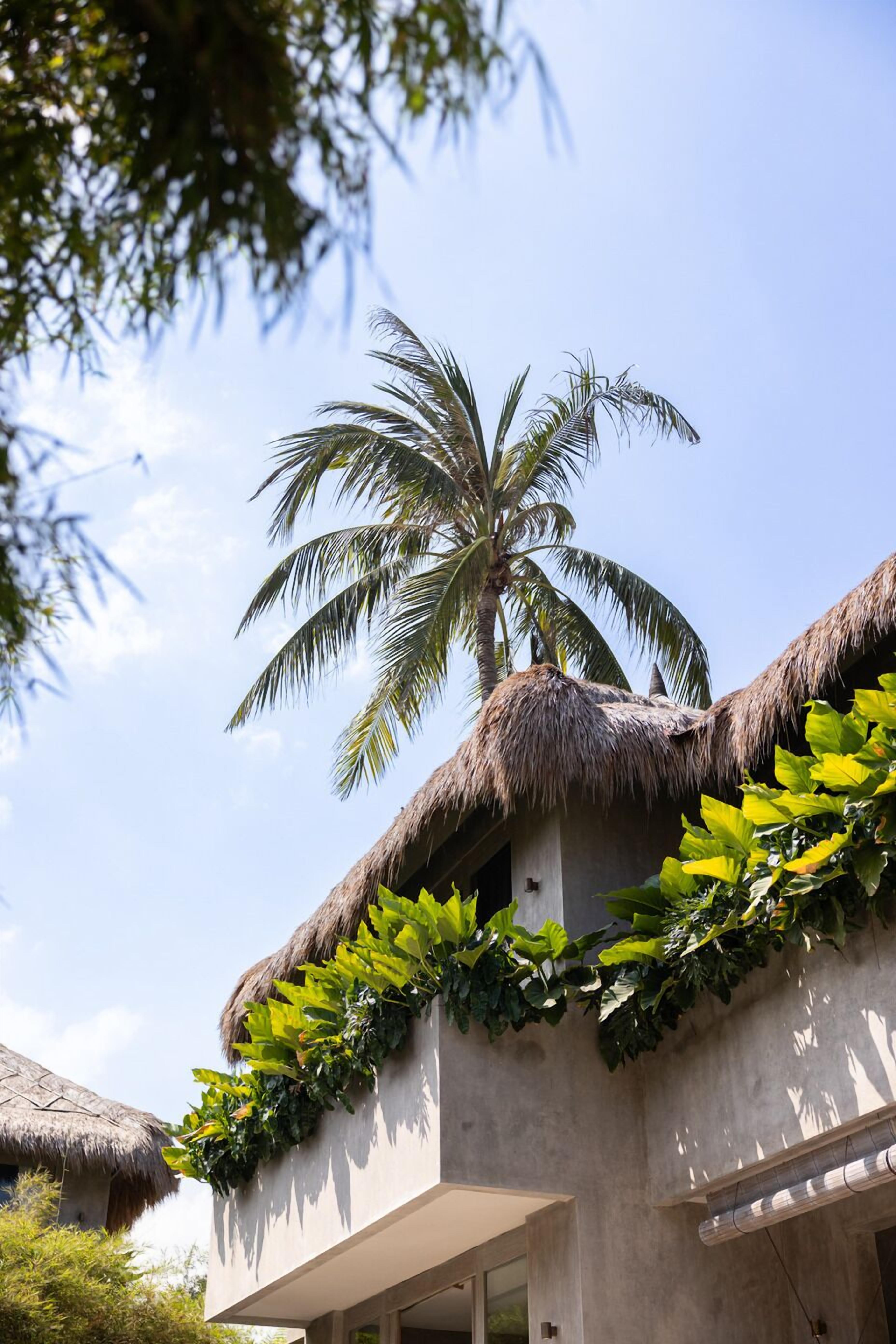 A building with a thatched roof, a palm tree, and lush greenery.