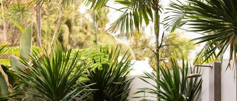 Un patio con cojines grises, una pequeña mesa redonda y diversas plantas tropicales.