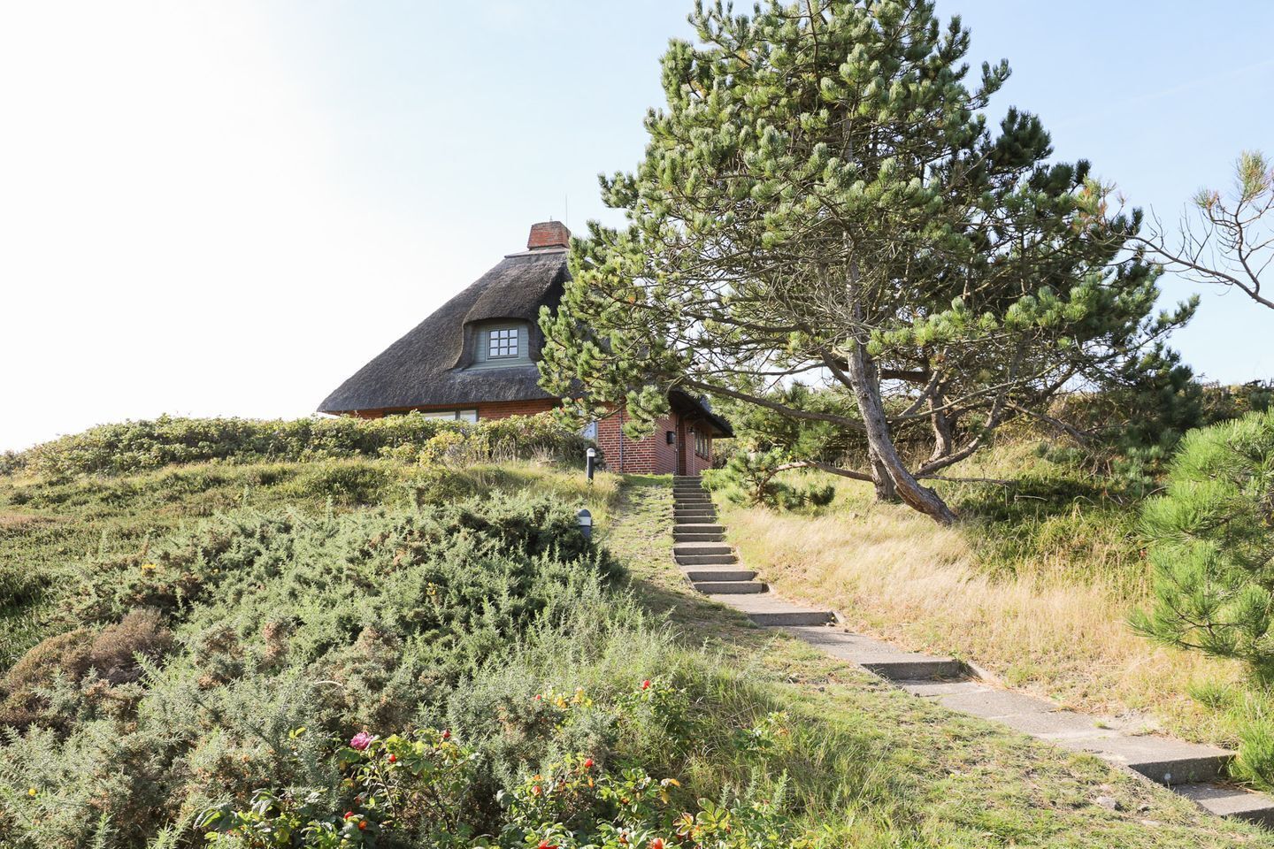 Boendeområde