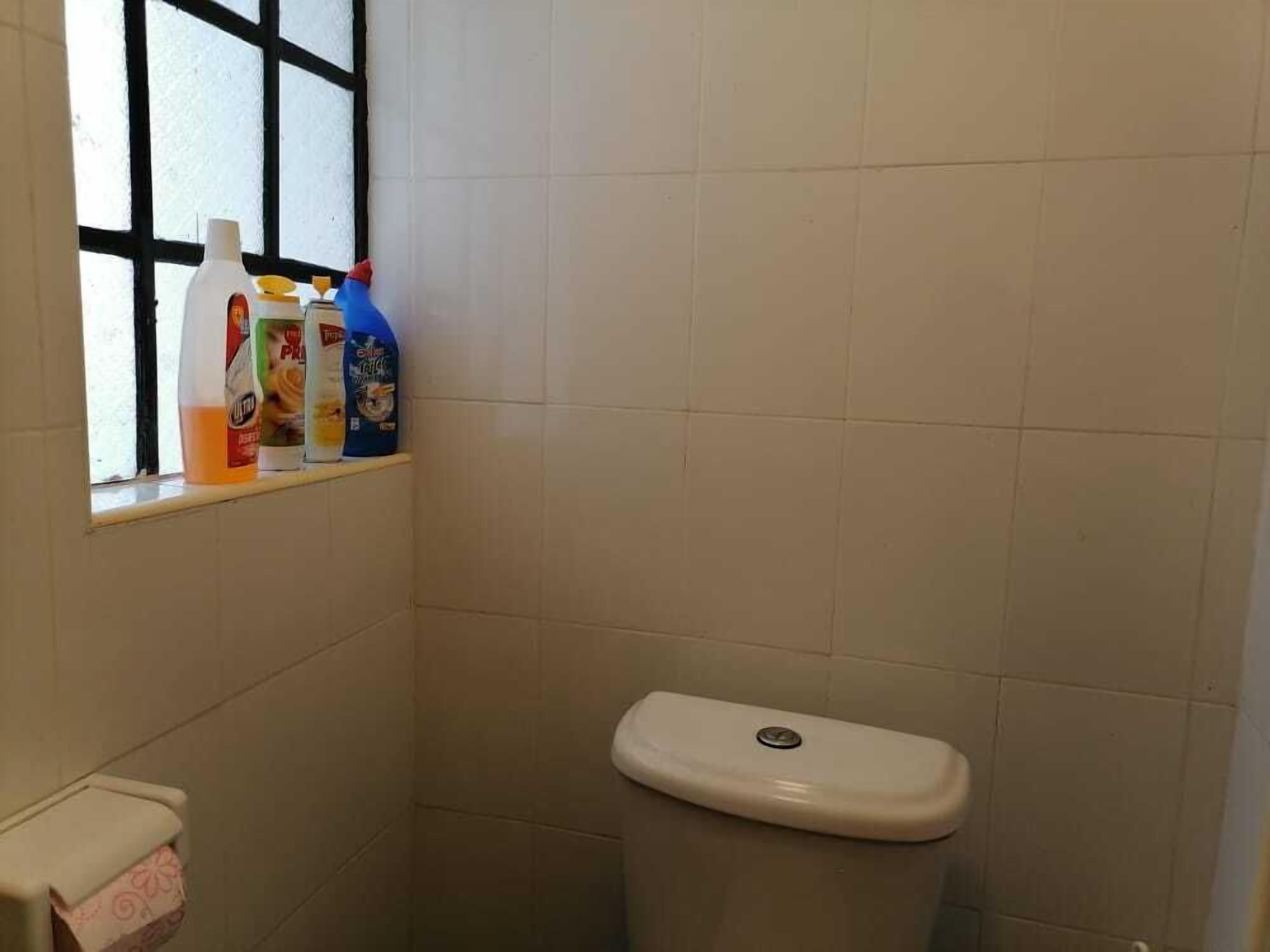 A small bathroom with a toilet, a window with black frames, and a shelf with cleaning products.