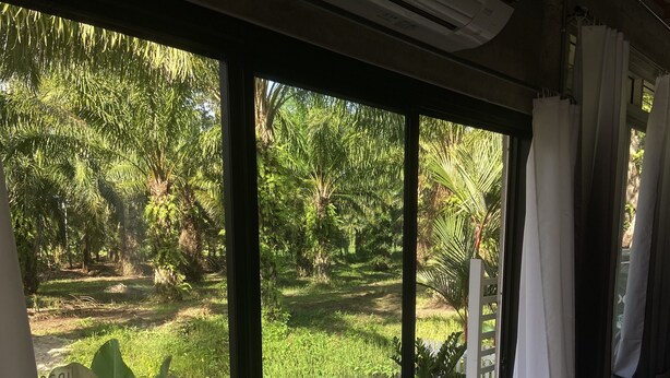 Una habitación con puerta corrediza de vidrio que da a un jardín con palmeras y una cerca blanca.