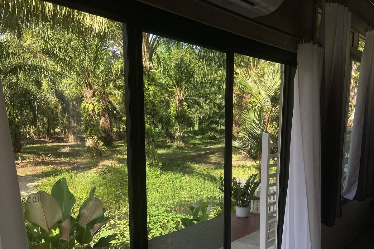 A room with a sliding glass door leading to a garden with palm trees and a white fence.