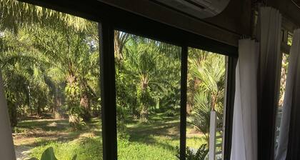 Forest Guesthouse Chumphon