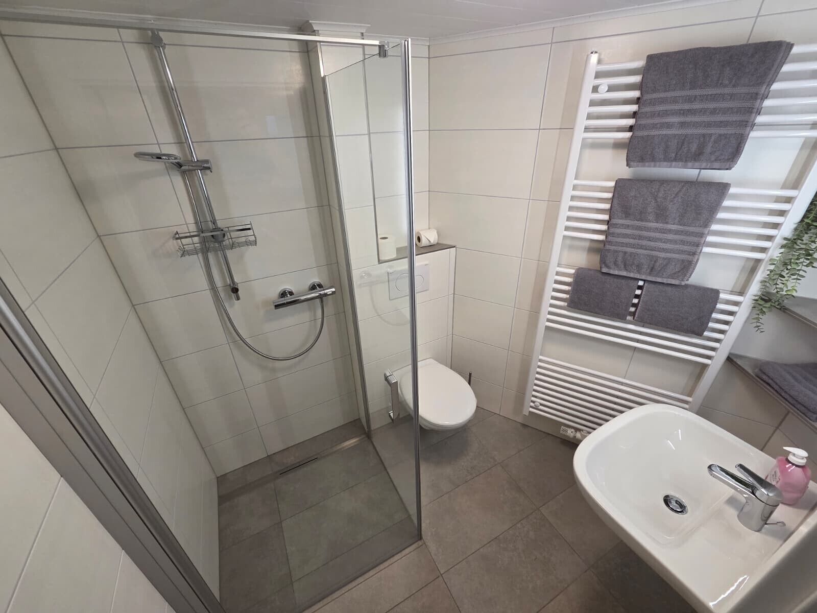 A bathroom with a glass-enclosed shower, a toilet, a sink with a soap dispenser, and a towel rack with folded towels.