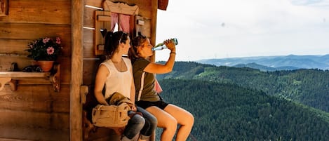 Terrain de lâhĂ©bergement