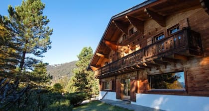 Chalet Le Haut Pré by Interhome