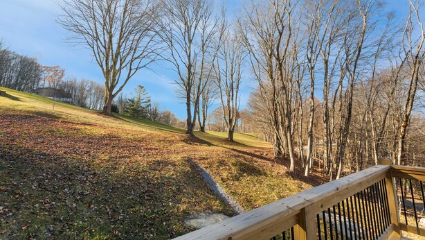 A park with a wooden deck and leaf-covered ground. - Beech Mountain Cabin on Golf Course (Beech Mountain)