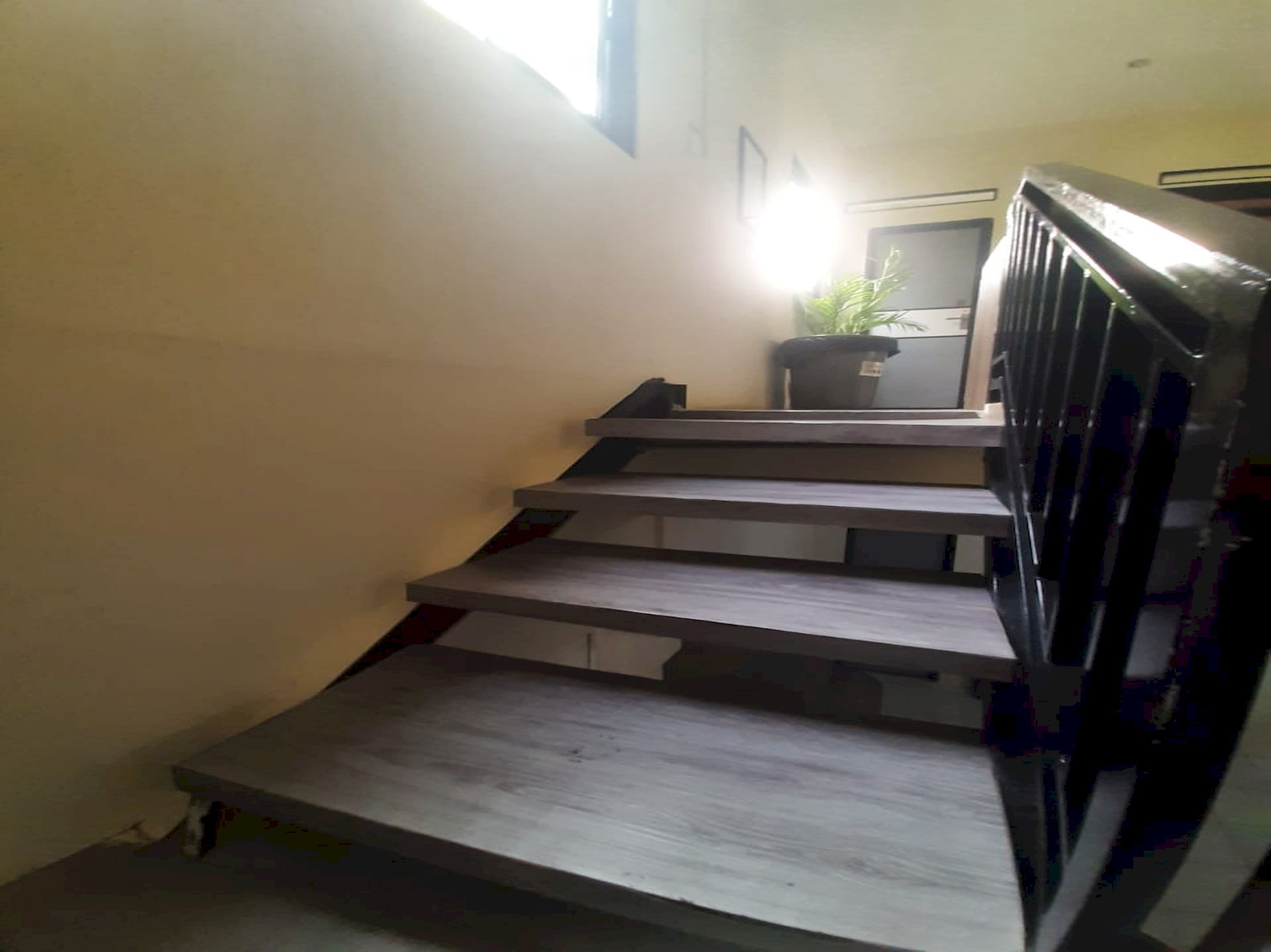 A staircase with a handrail and a potted plant at the top.