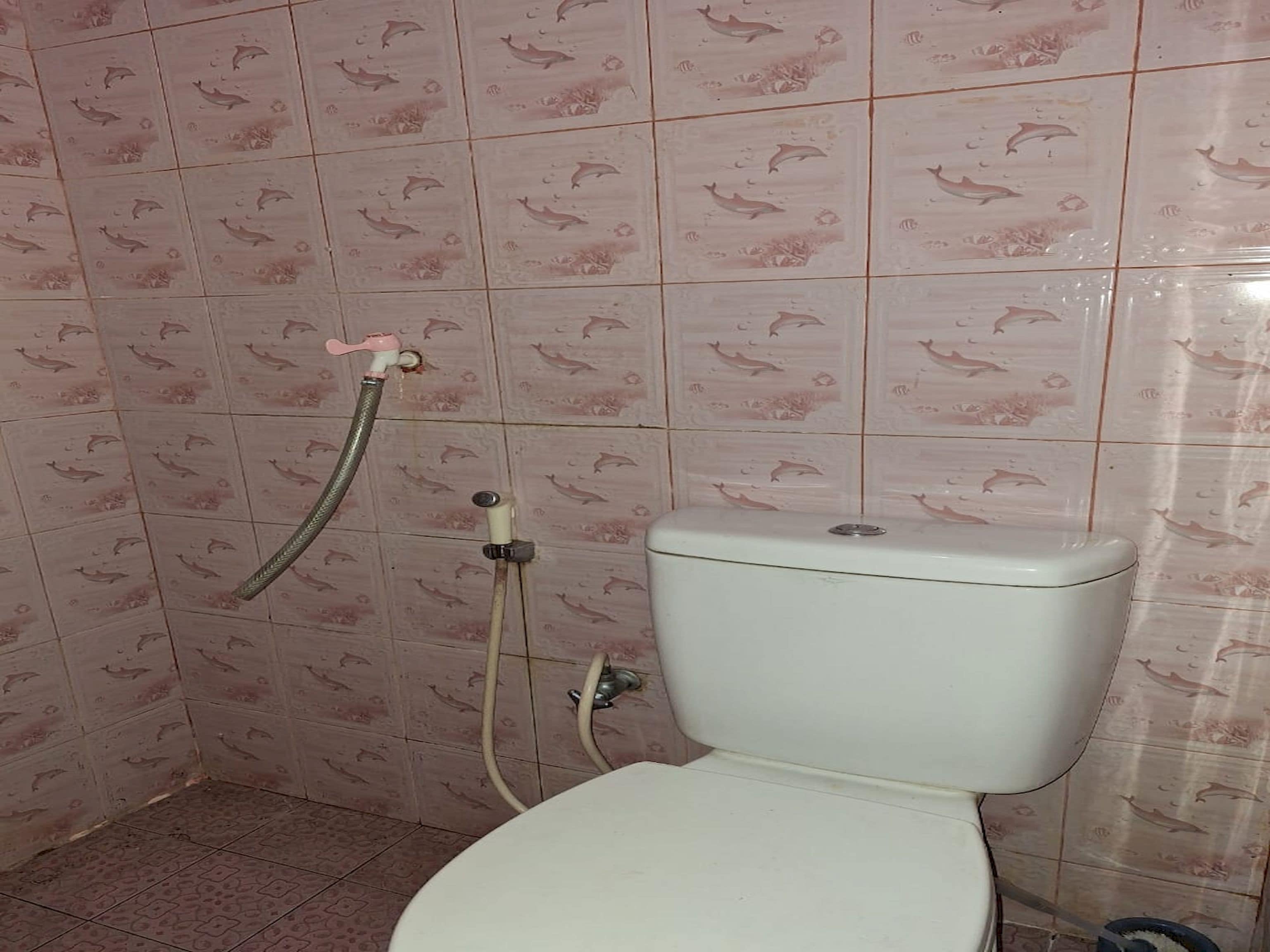 A bathroom with a toilet, a shower, and a wall with a dolphin pattern.