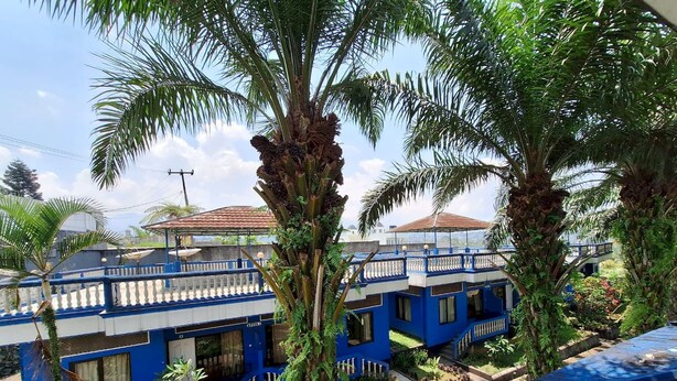 Un bâtiment bleu à deux étages, doté d’un balcon, entouré d’une végétation luxuriante et de palmiers.