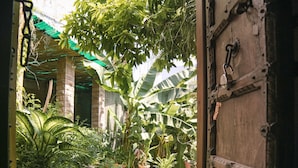 Un passage donnant sur un jardin luxuriant, où l’on peut admirer une variété de plantes, avec un bâtiment en briques en arrière-plan.