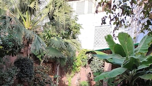 Un jardin agrémenté de meubles en osier, de plantes en pot et d’un chemin pavé de pierres.