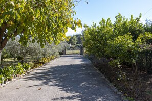 Jardines del alojamiento