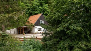 Een huis met een schuin dak, omgeven door weelderige begroeiing.