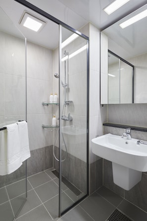 Dutxa, articles de tocador de disseny, assecador de cabells i bidet 