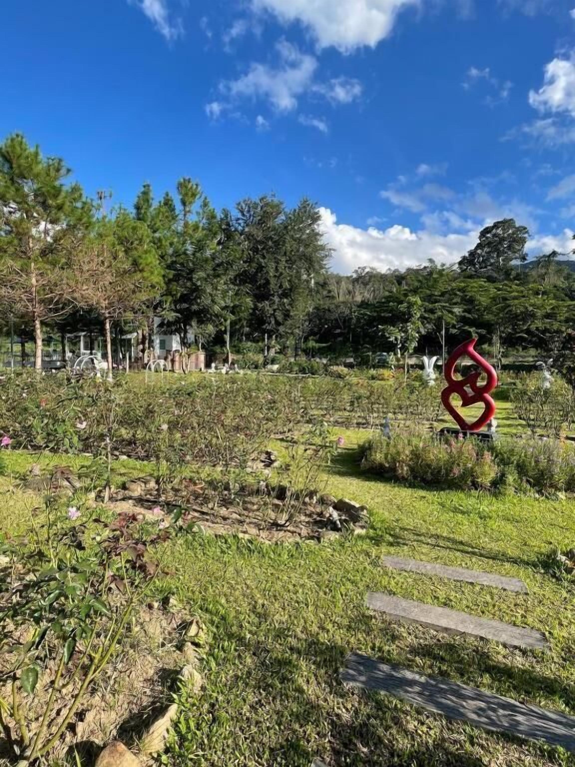 Taman