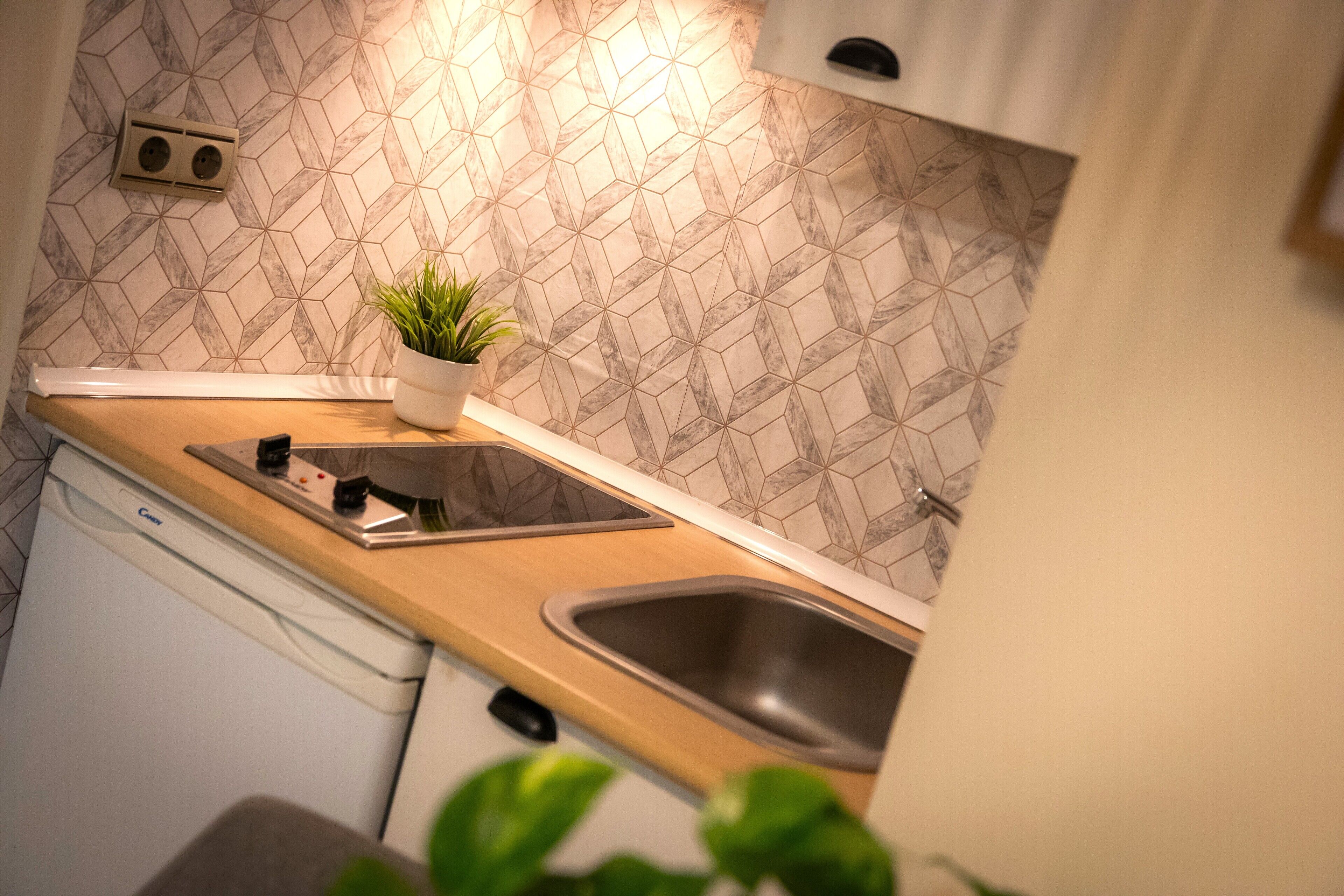 Una cocina con mostrador, lavamanos y una planta en maceta.