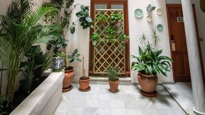 A courtyard with a central door, potted plants, and wooden balconies. - APARTAMENTOS VITA CENTER  (Granada)