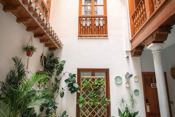 Standard Studio | Courtyard