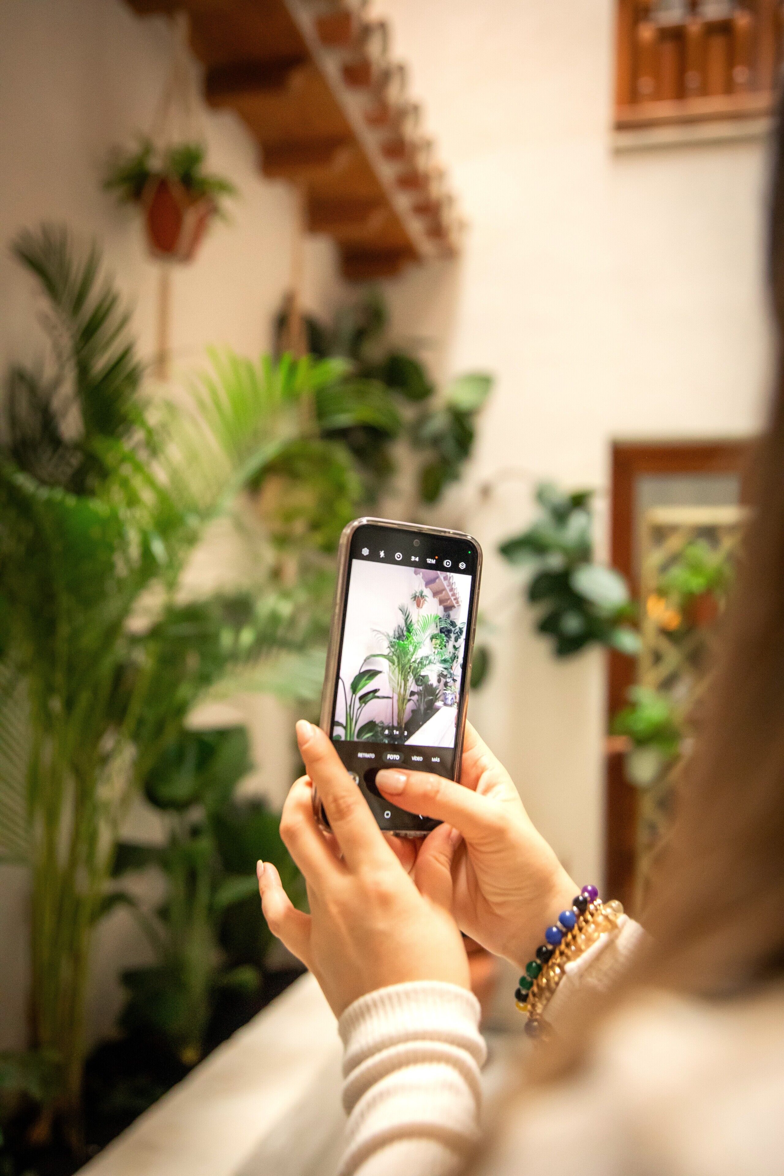 Une personne tenant un smartphone, peut-être en train de prendre une photo, avec en arrière-plan des plantes d’intérieur et un escalier.