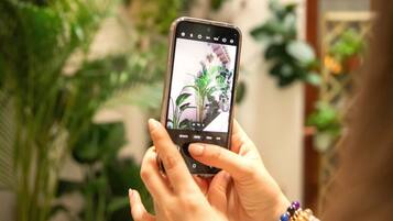Une personne tenant un smartphone, peut-être en train de prendre une photo, avec en arrière-plan des plantes d’intérieur et un escalier.