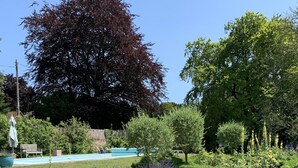 A garden with a swimming pool, benches, and various plants.