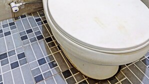 Eine Toilette mit weißem Sitz und Deckel, vor einer Wand mit beige gefliesten Fliesen.