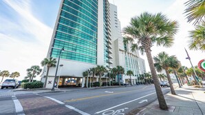 A tall hotel with a modern glass facade, palm trees lining the street, and a clear sky.