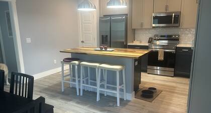 New Pet Freindly Home in historic Downtown Wilmington with fenced yard